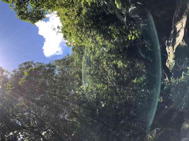 スマホに入ってる旅先の写真見せてください