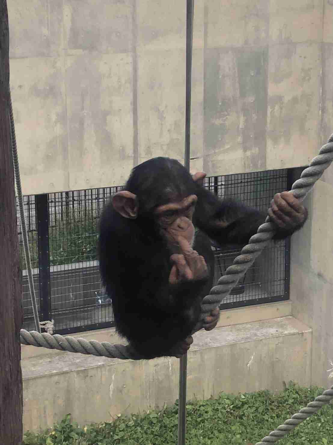 スマホに入ってる旅先の写真見せてください