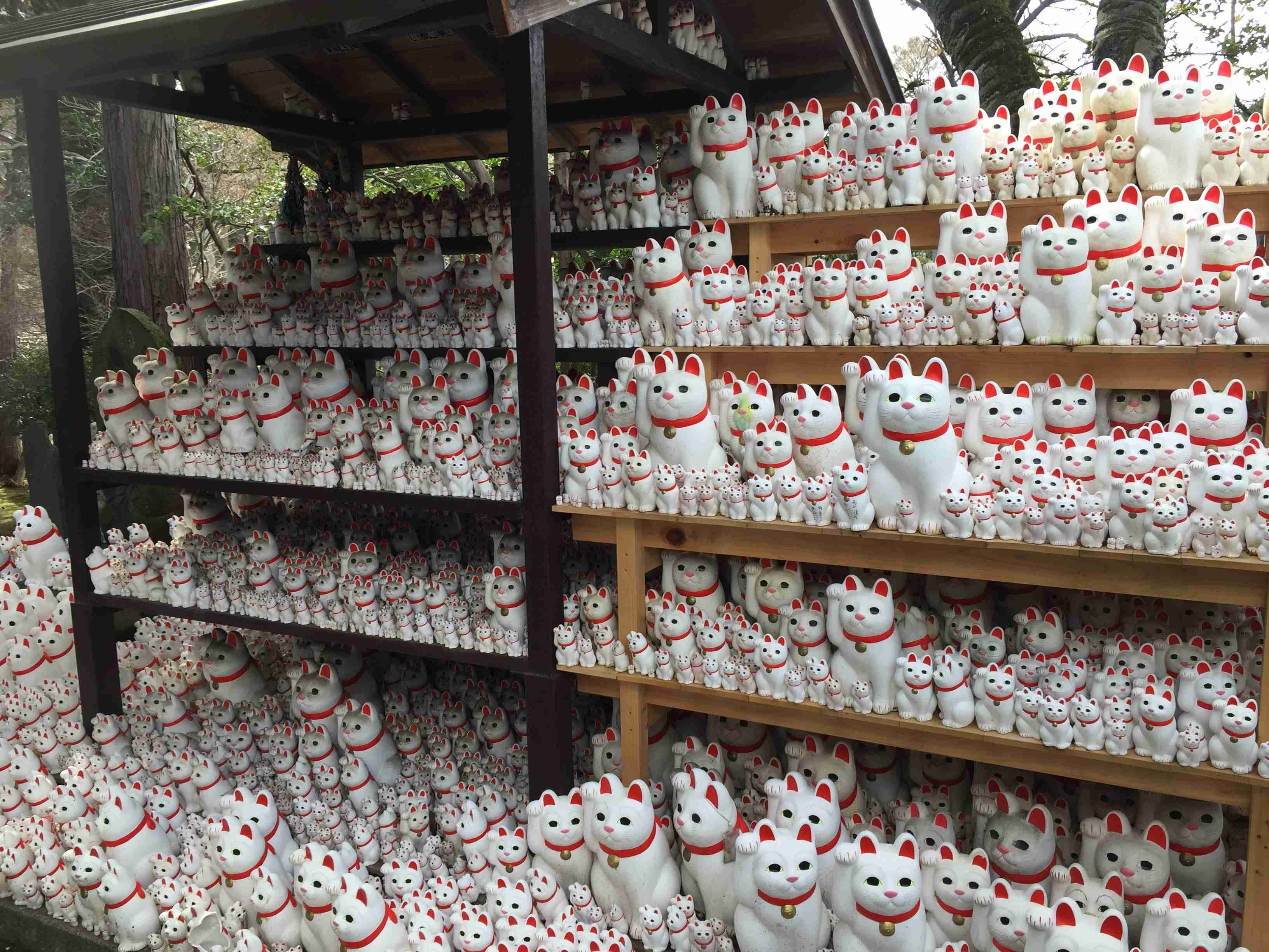 スマホに入ってる旅先の写真見せてください