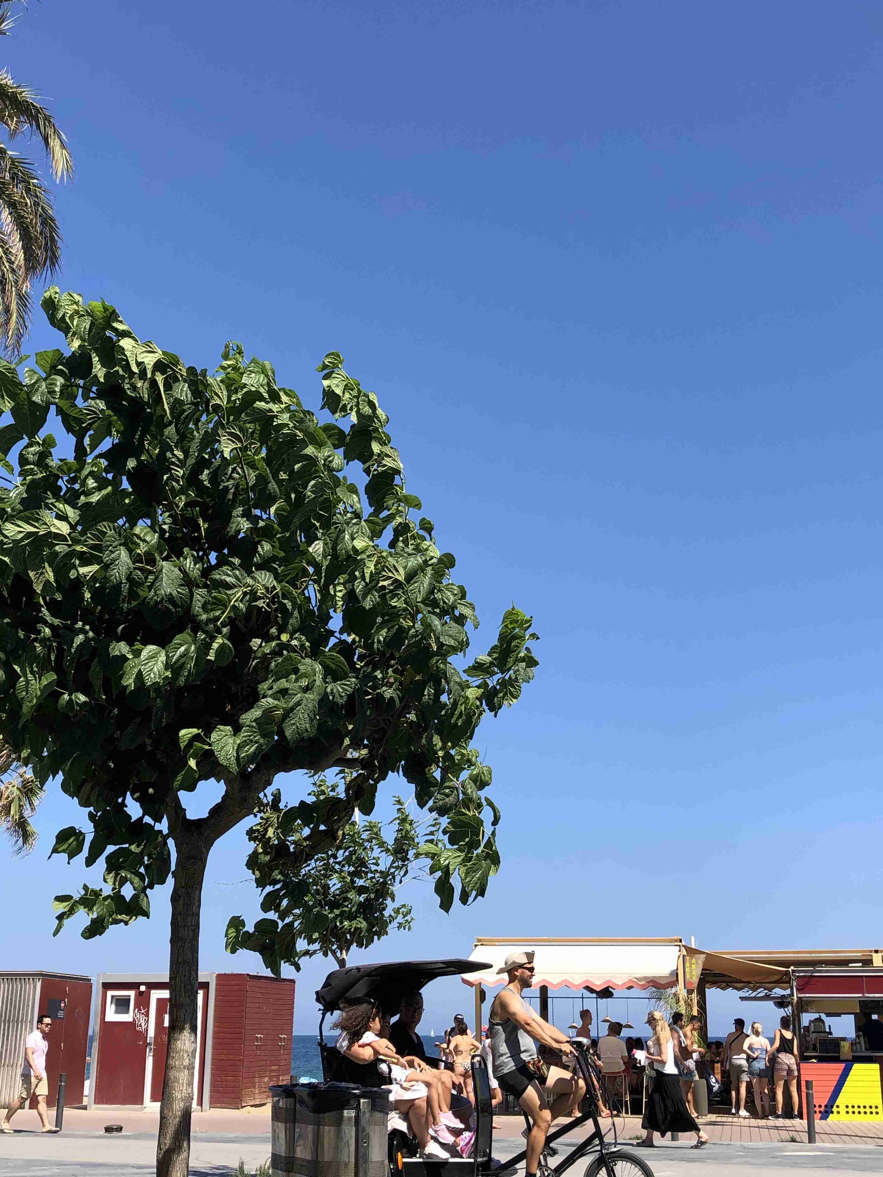 スマホに入ってる旅先の写真見せてください