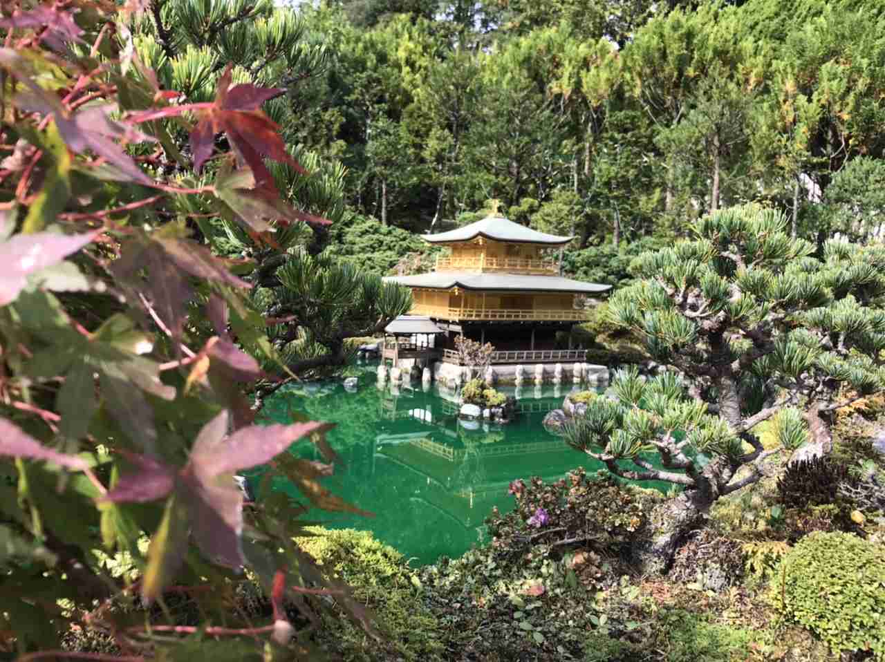 スマホに入ってる旅先の写真見せてください