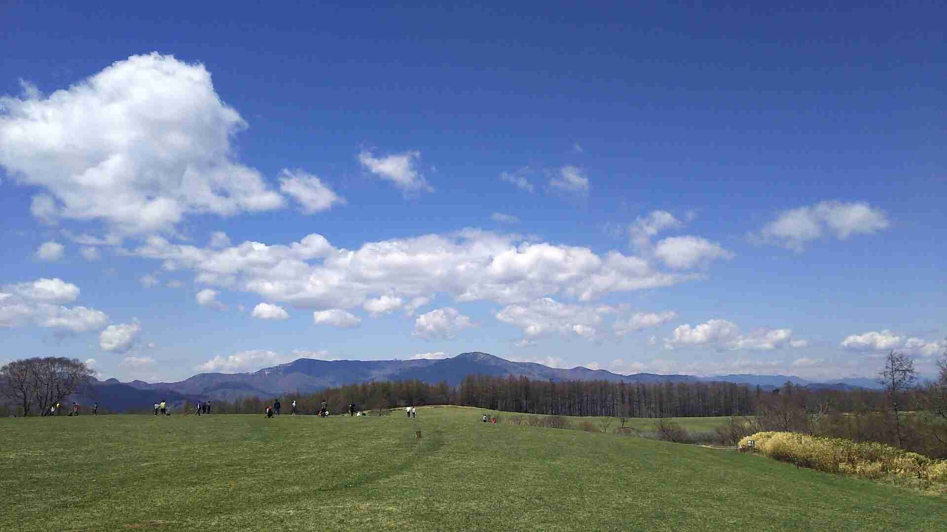 スマホに入ってる旅先の写真見せてください