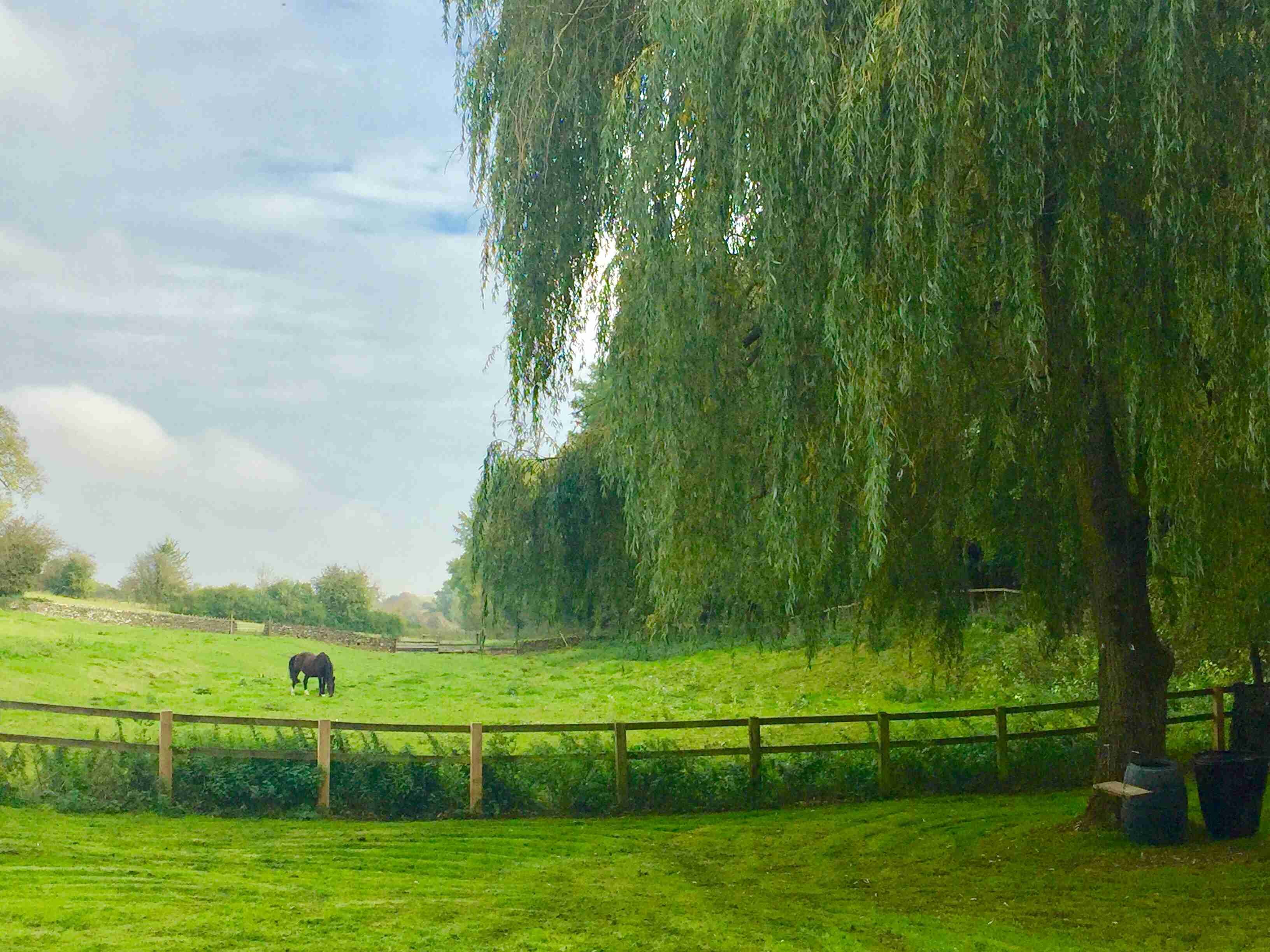 スマホに入ってる旅先の写真見せてください