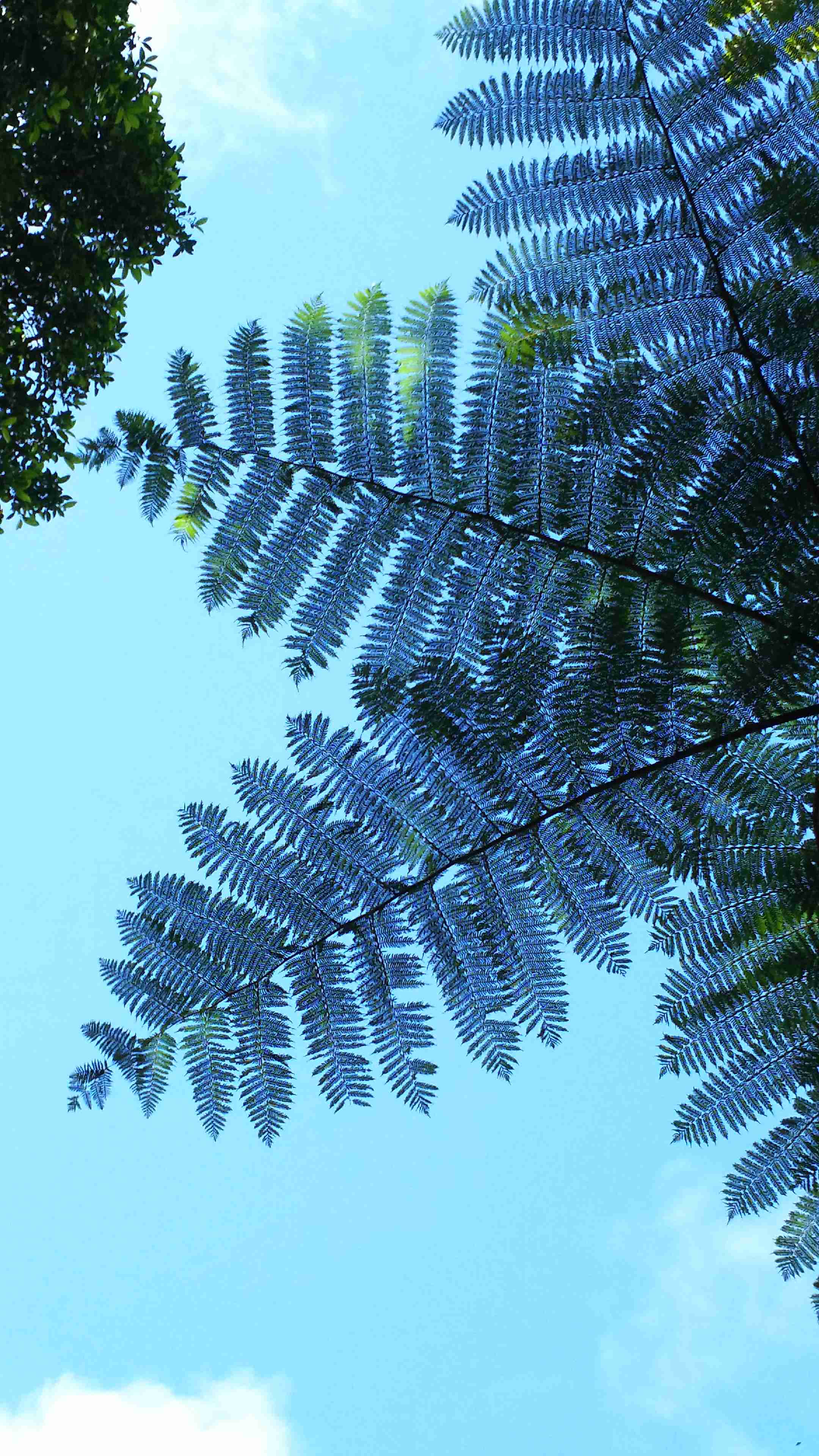 スマホに入ってる旅先の写真見せてください