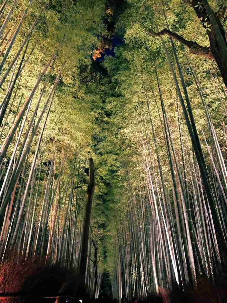 スマホに入ってる旅先の写真見せてください