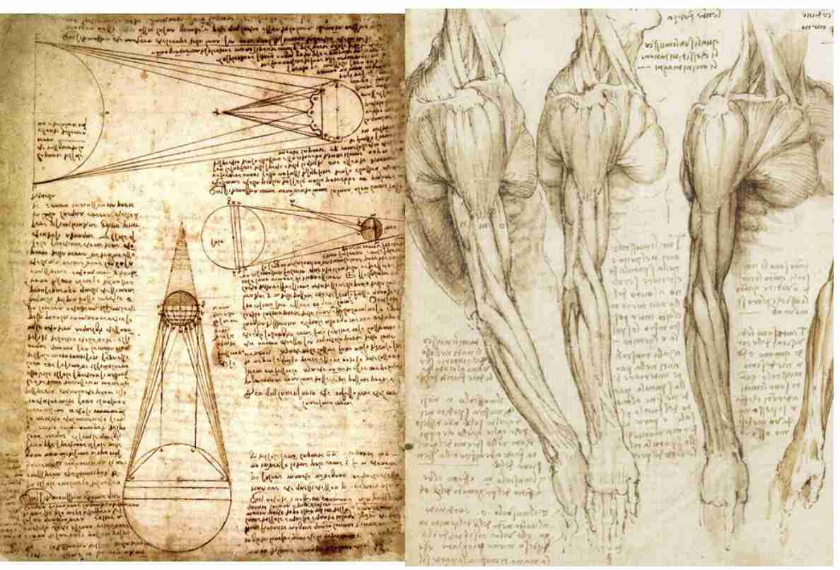 時代を先取りし過ぎて評価されなかったと思うもの