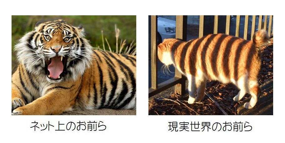 日本から出て行け・学校つぶせ…部活クラスターで中傷電話、生徒の写真も拡散
