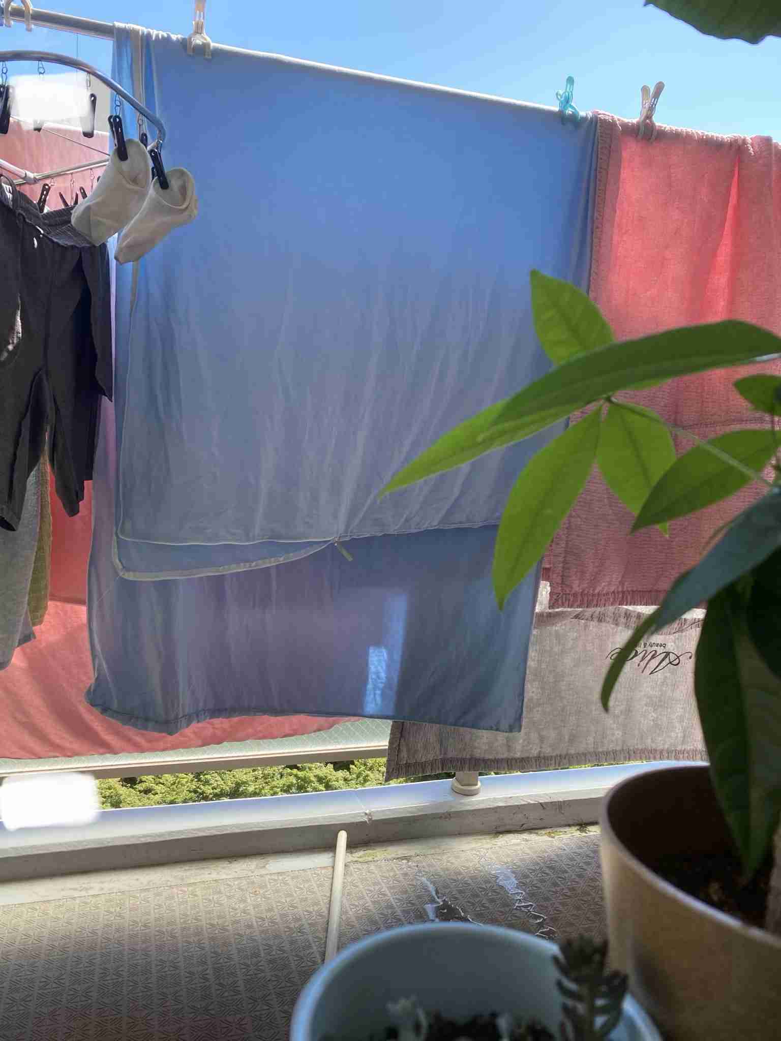 生活感溢れる写真☆part13