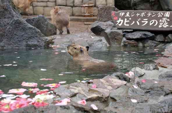生活感溢れる写真☆part13