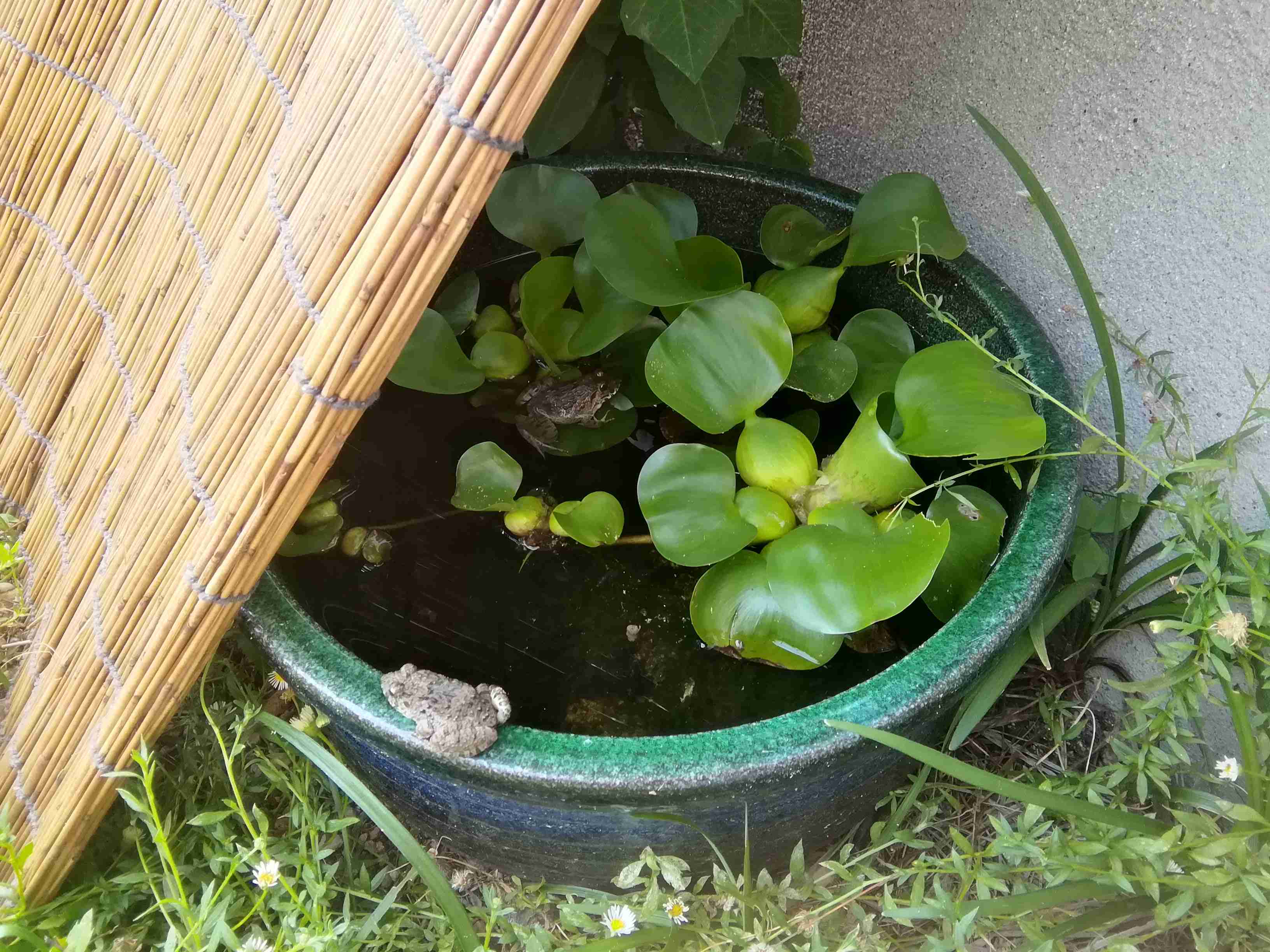 生活感溢れる写真☆part13