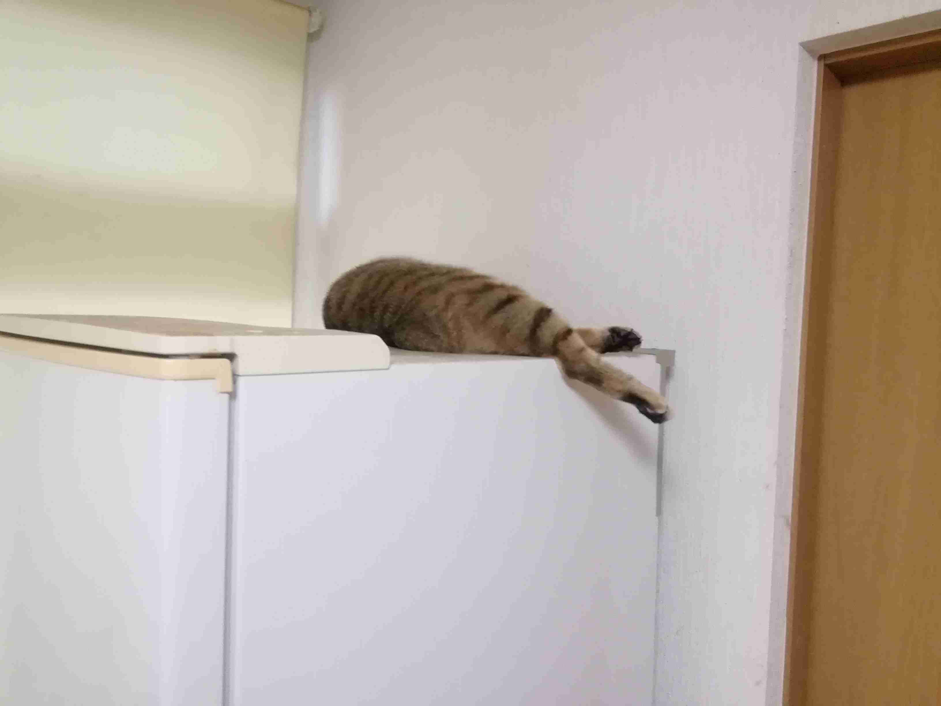 生活感溢れる写真☆part13