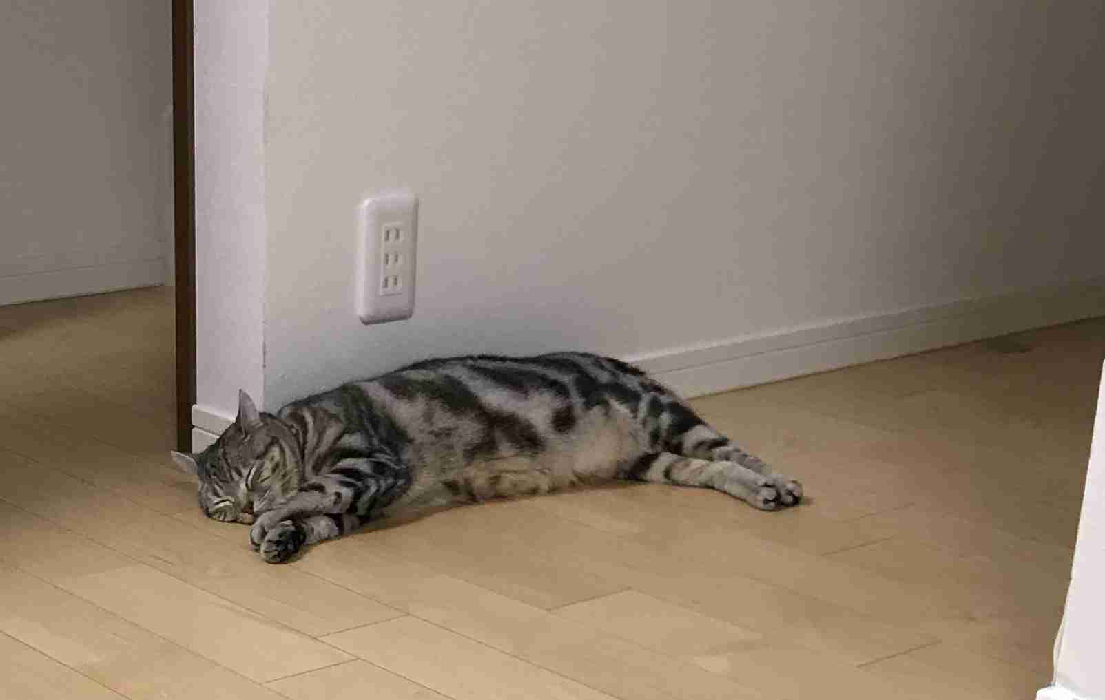 生活感溢れる写真☆part13