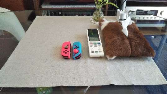 生活感溢れる写真☆part13
