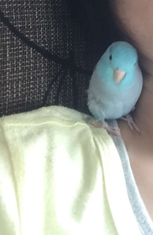 生活感溢れる写真☆part13