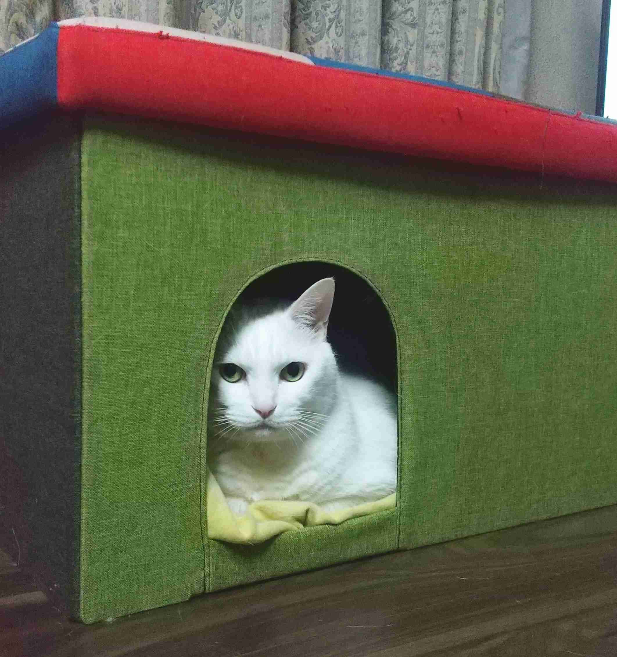 生活感溢れる写真☆part13