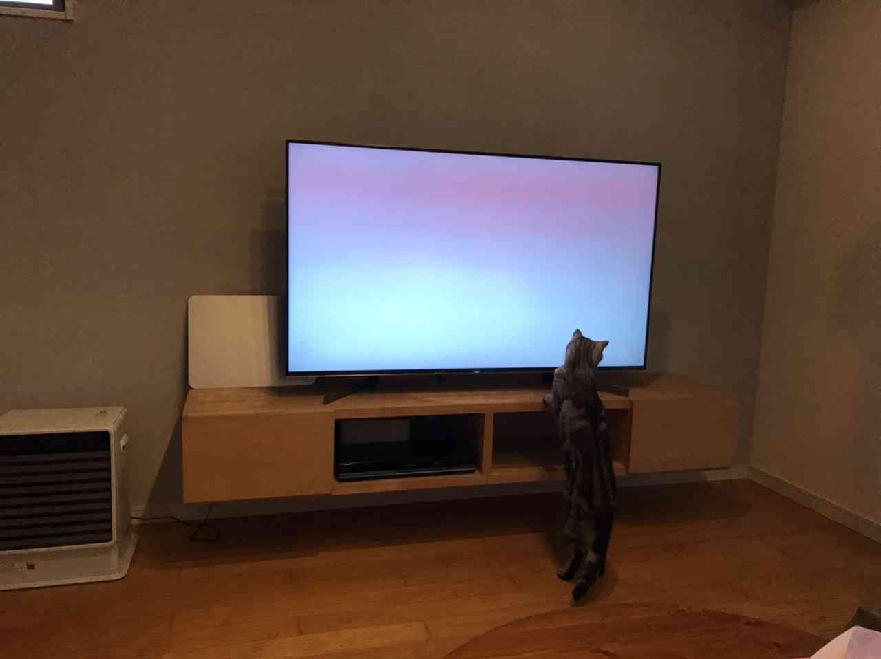 生活感溢れる写真☆part13