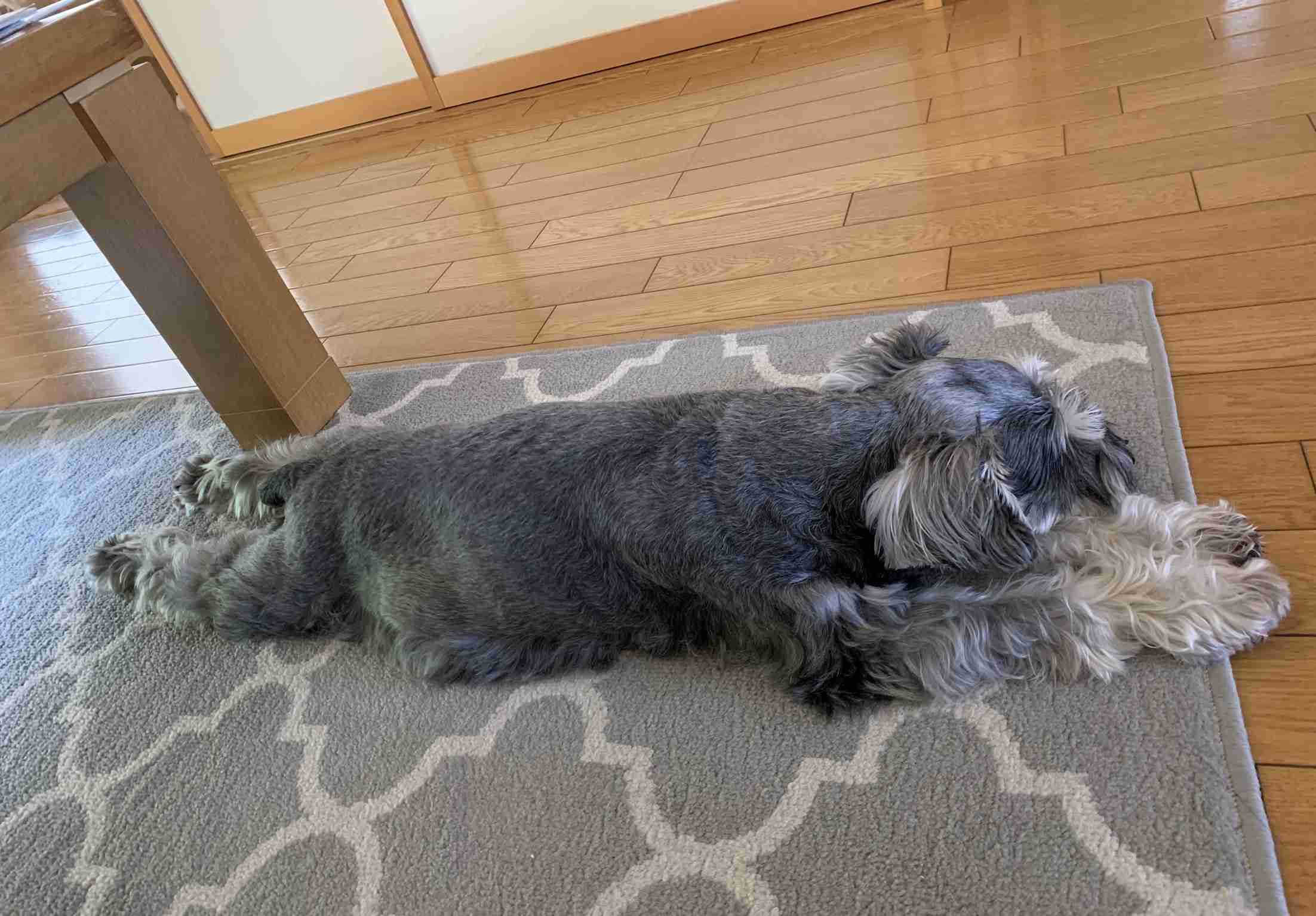 生活感溢れる写真☆part13