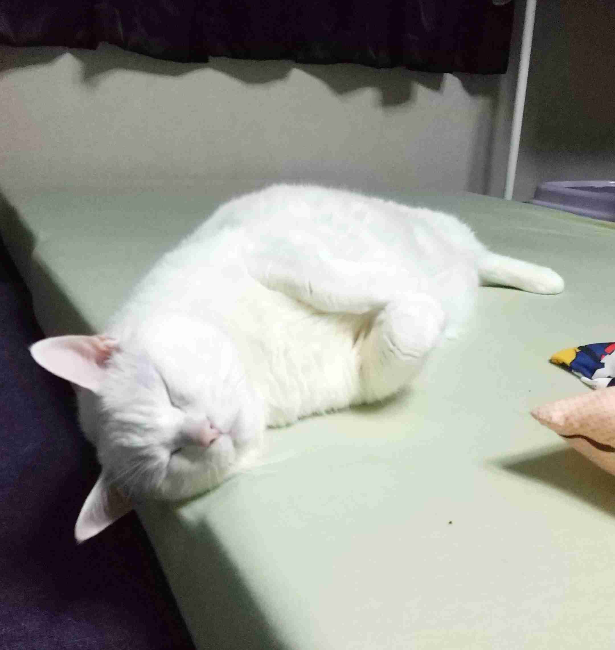 生活感溢れる写真☆part13