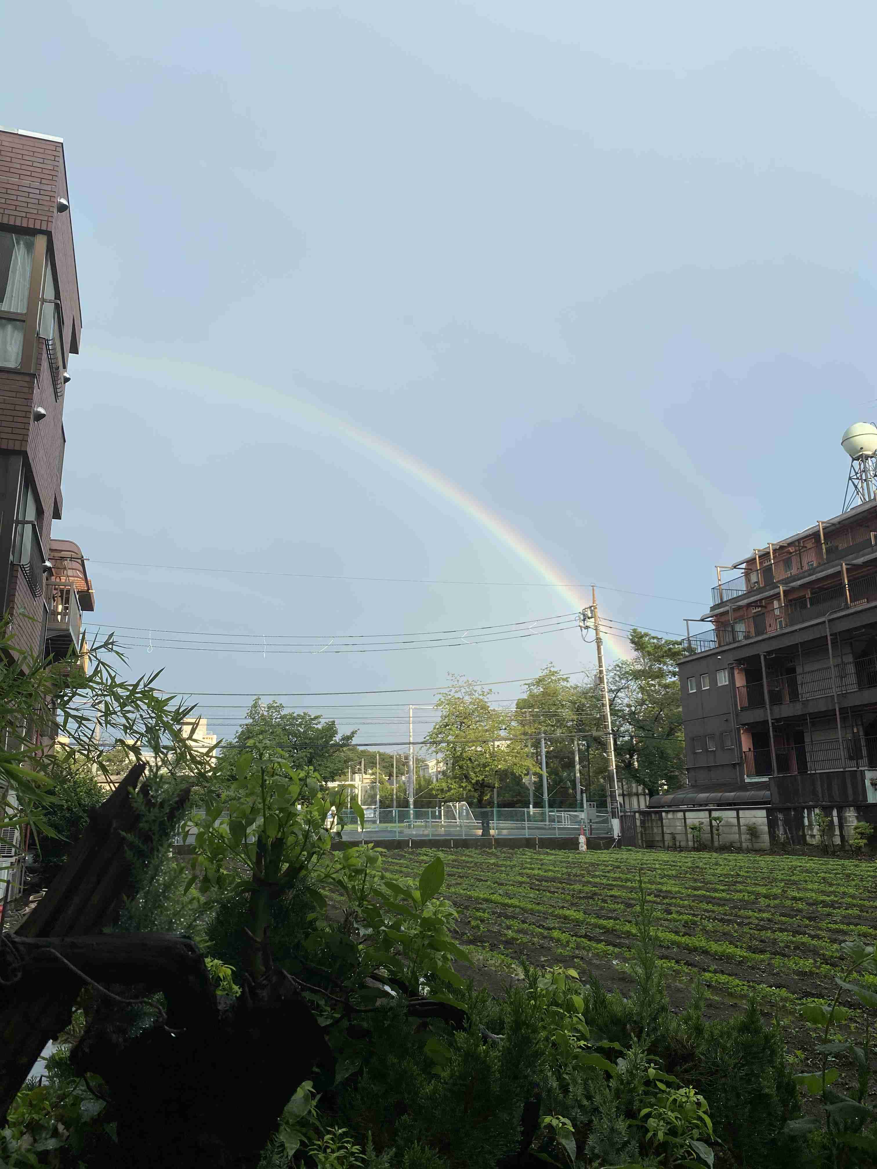 生活感溢れる写真☆part13
