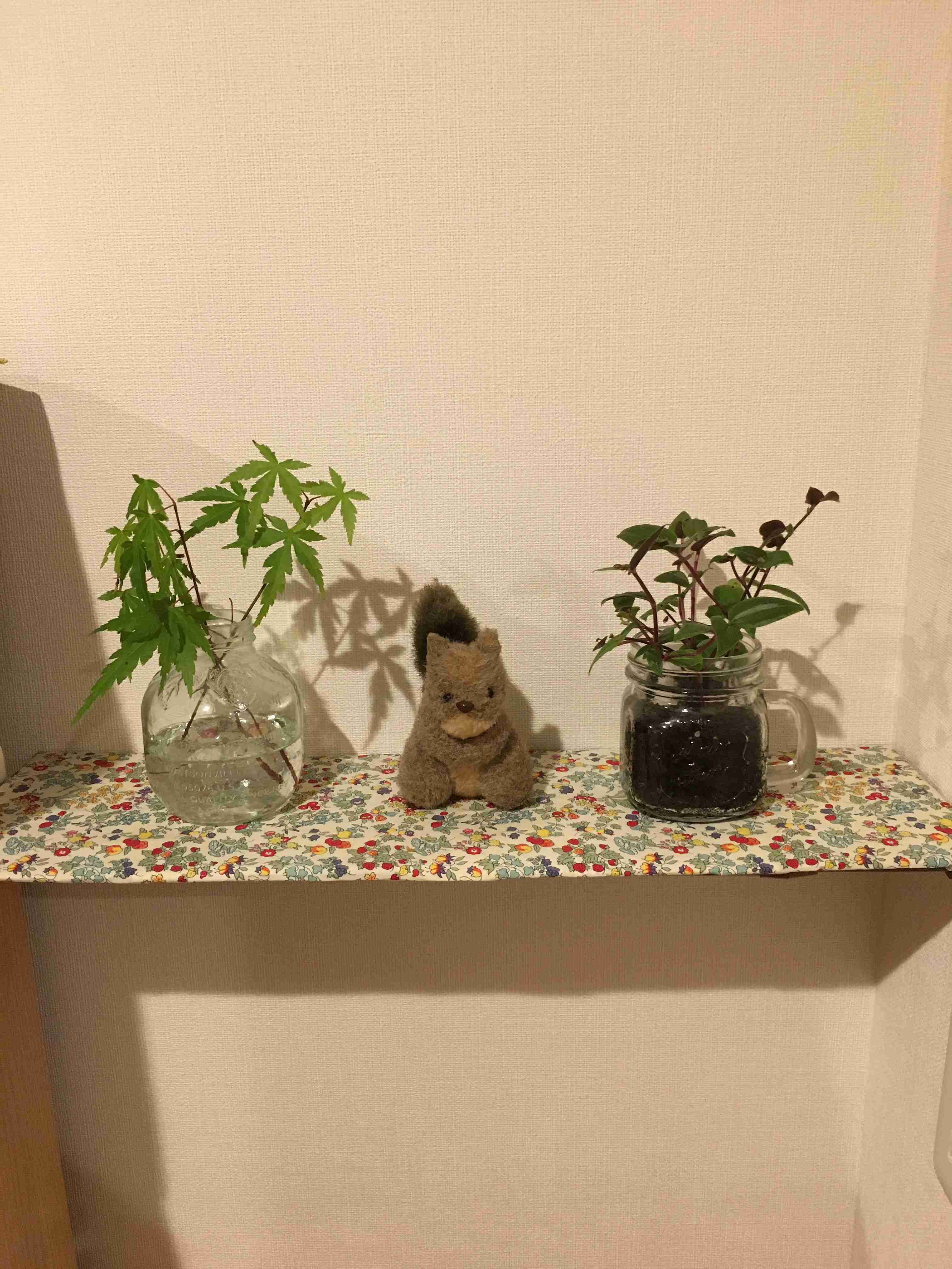 生活感溢れる写真☆part13