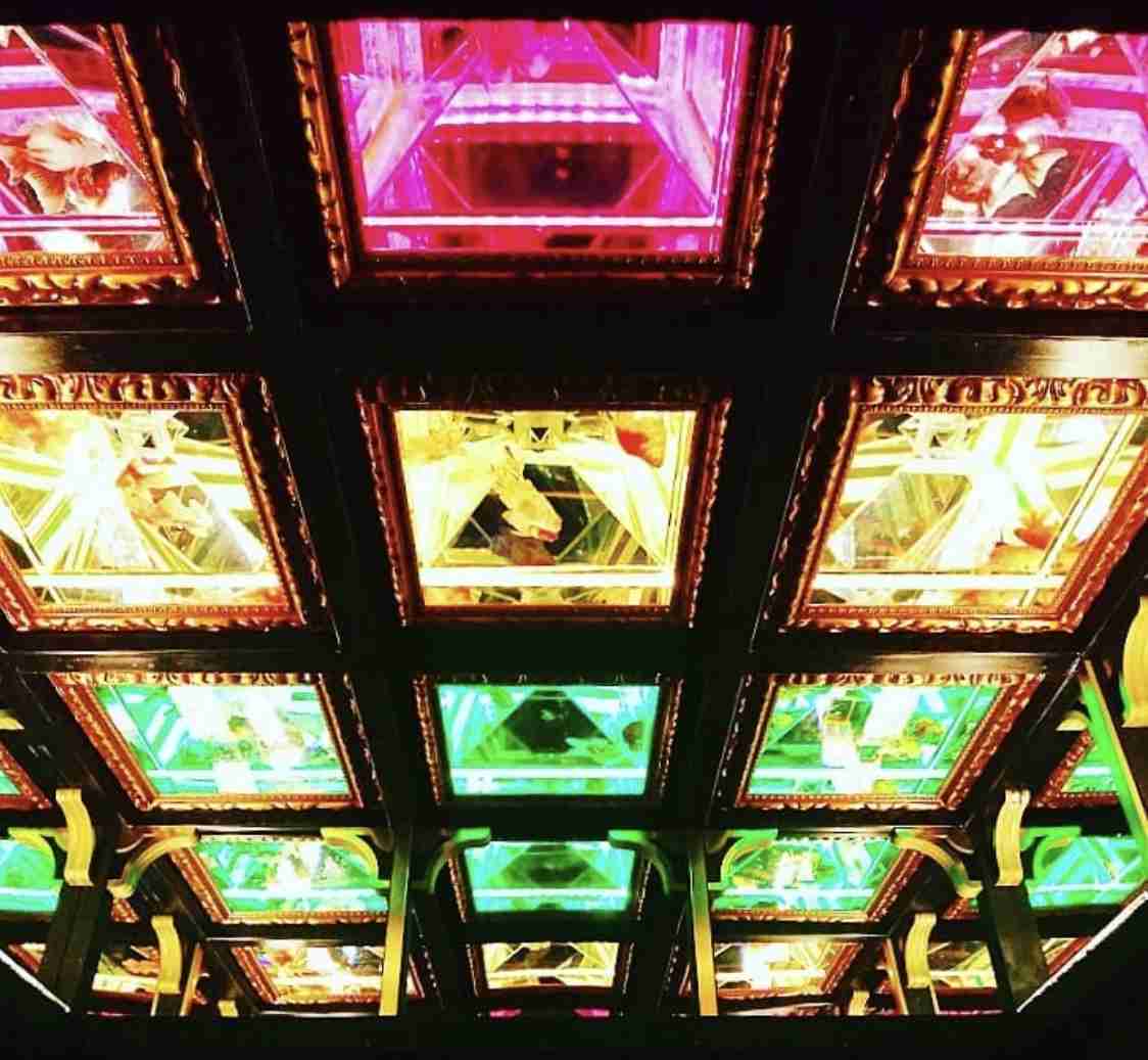 上戸彩、アートアクアリウム美術館の広報大使に「美しい夢の世界」