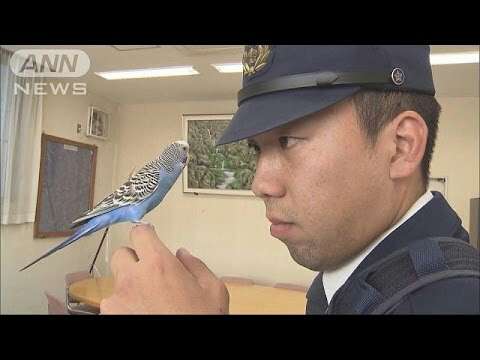 明日頑張ることを書く⭐トピ