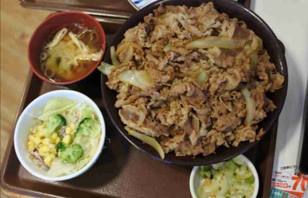 すき家　どの牛丼が1番好きですか？
