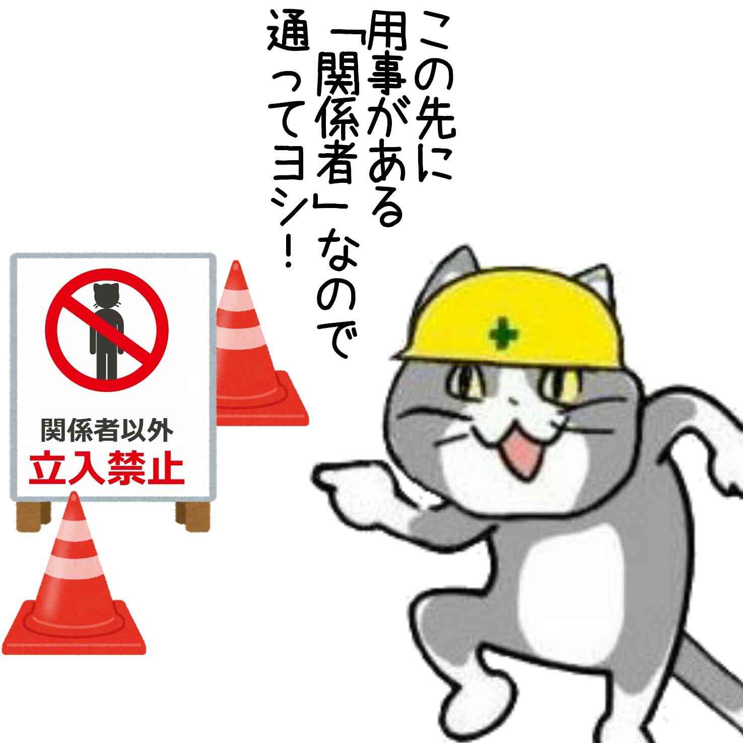 夏だから皆で現場猫を愛でたい！