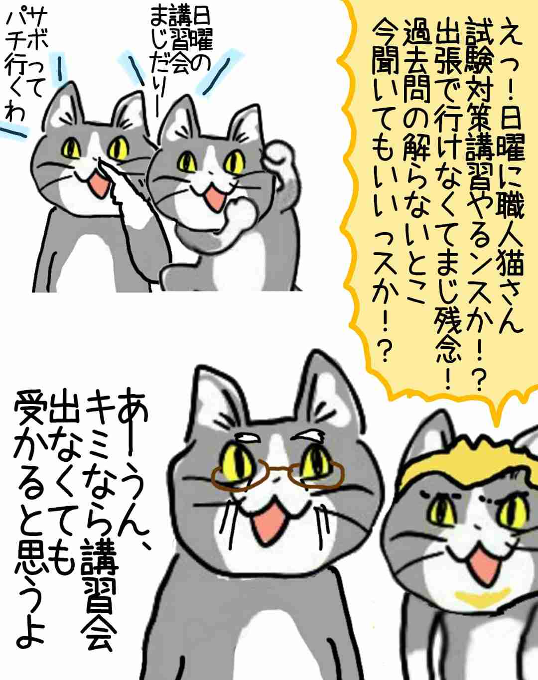 夏だから皆で現場猫を愛でたい！
