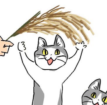 夏だから皆で現場猫を愛でたい！
