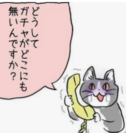 夏だから皆で現場猫を愛でたい！