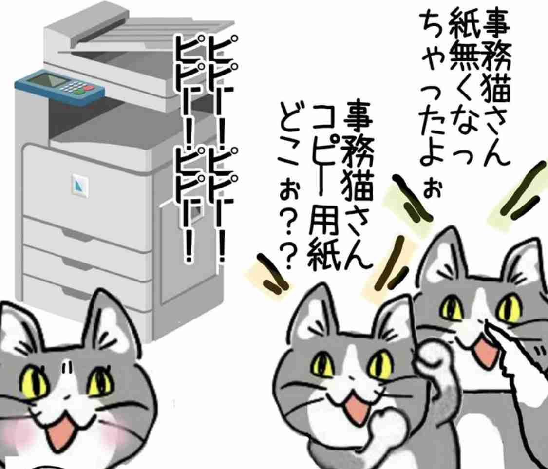 夏だから皆で現場猫を愛でたい！