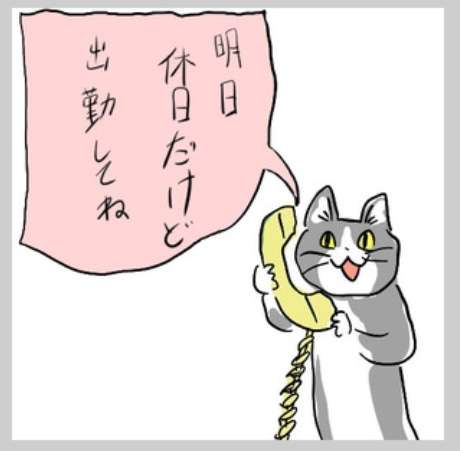 夏だから皆で現場猫を愛でたい！