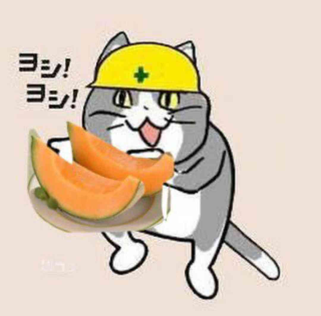 夏だから皆で現場猫を愛でたい！