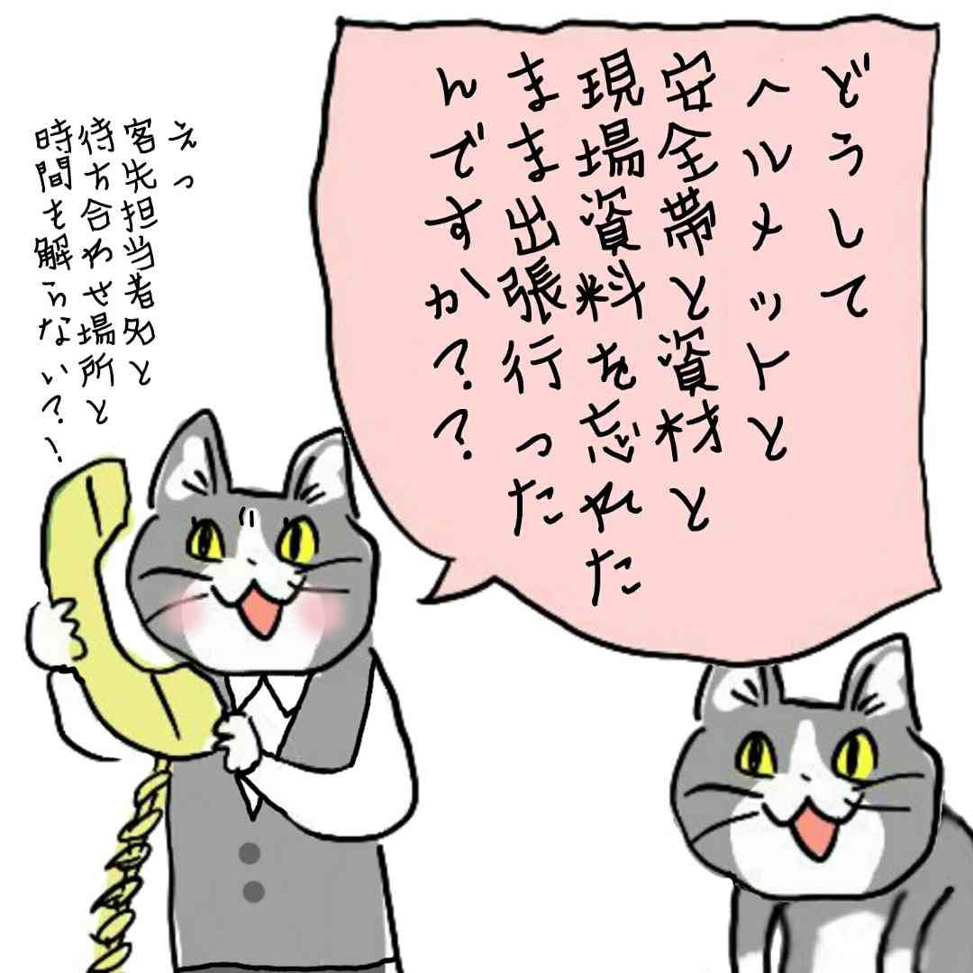 夏だから皆で現場猫を愛でたい！