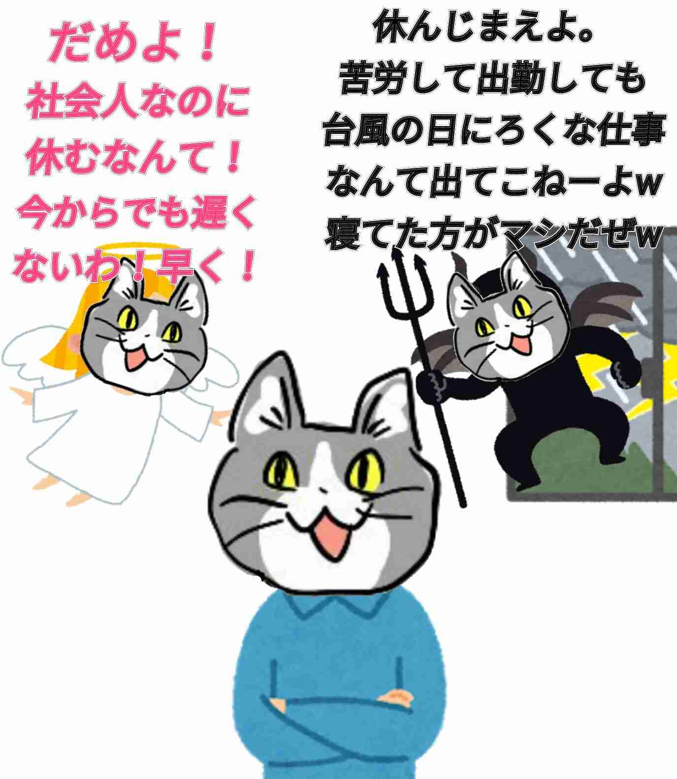夏だから皆で現場猫を愛でたい！