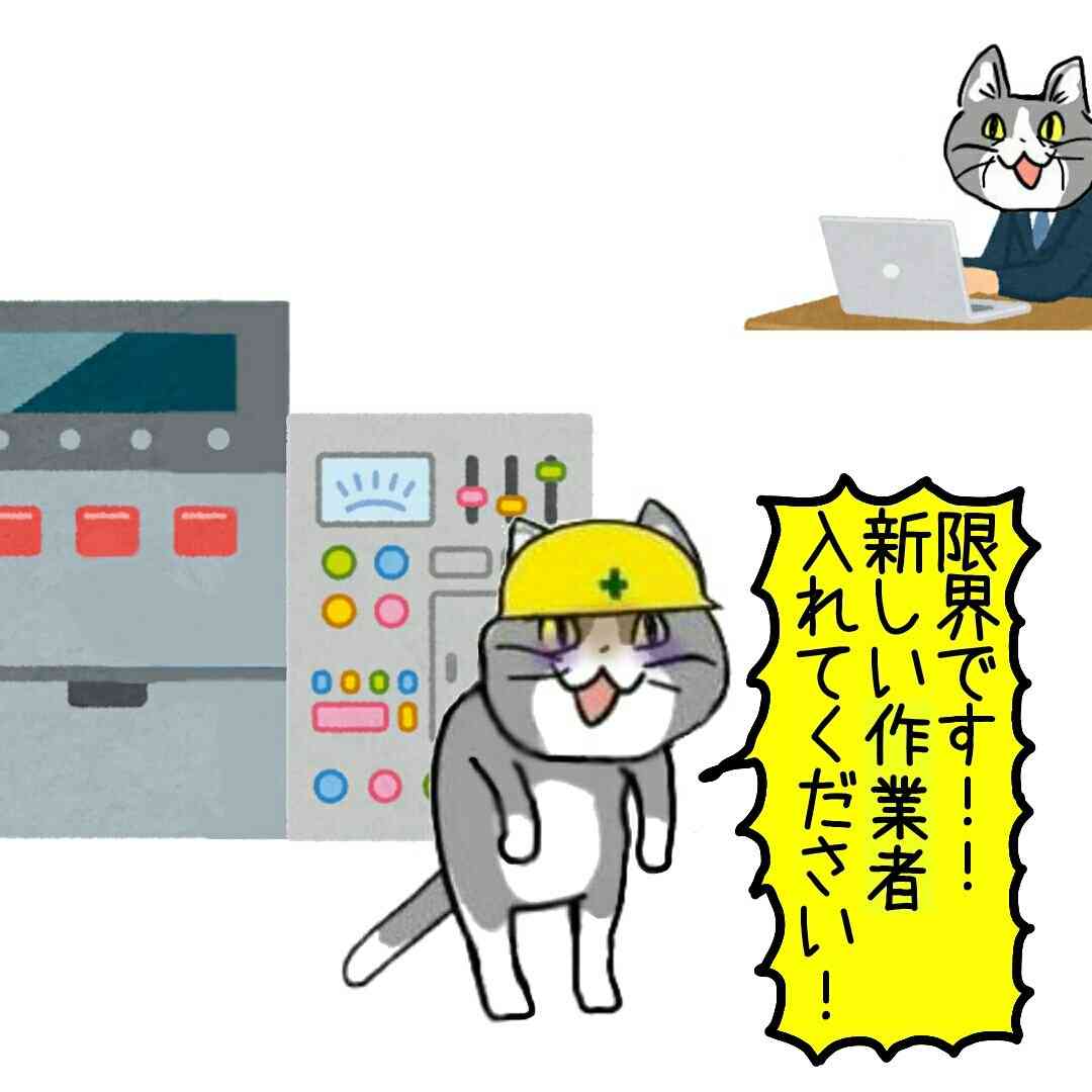 夏だから皆で現場猫を愛でたい！