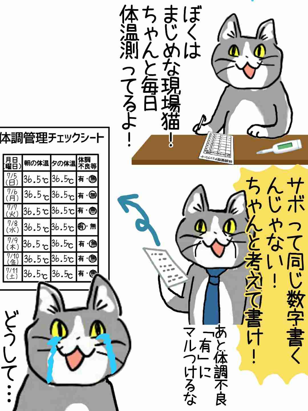 夏だから皆で現場猫を愛でたい！