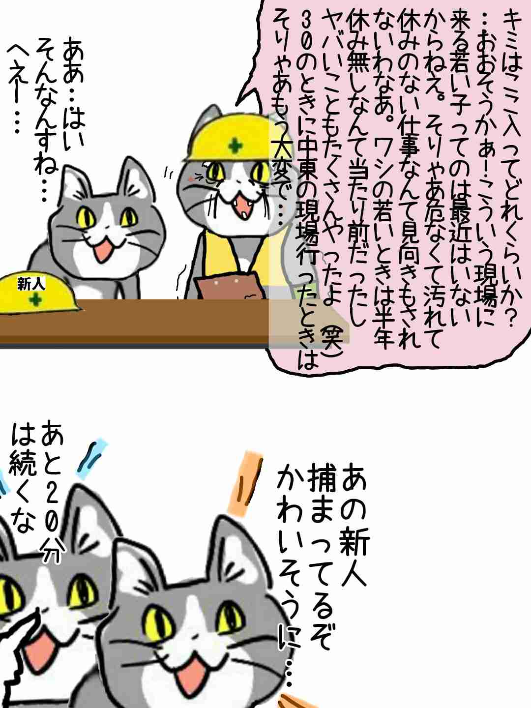 夏だから皆で現場猫を愛でたい！