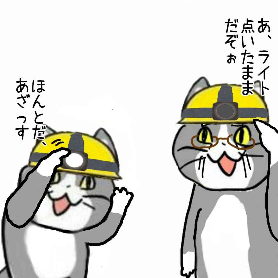 夏だから皆で現場猫を愛でたい！