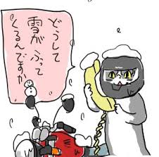 夏だから皆で現場猫を愛でたい！