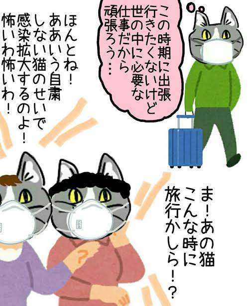 夏だから皆で現場猫を愛でたい！