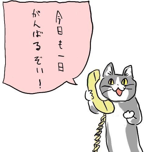 夏だから皆で現場猫を愛でたい！