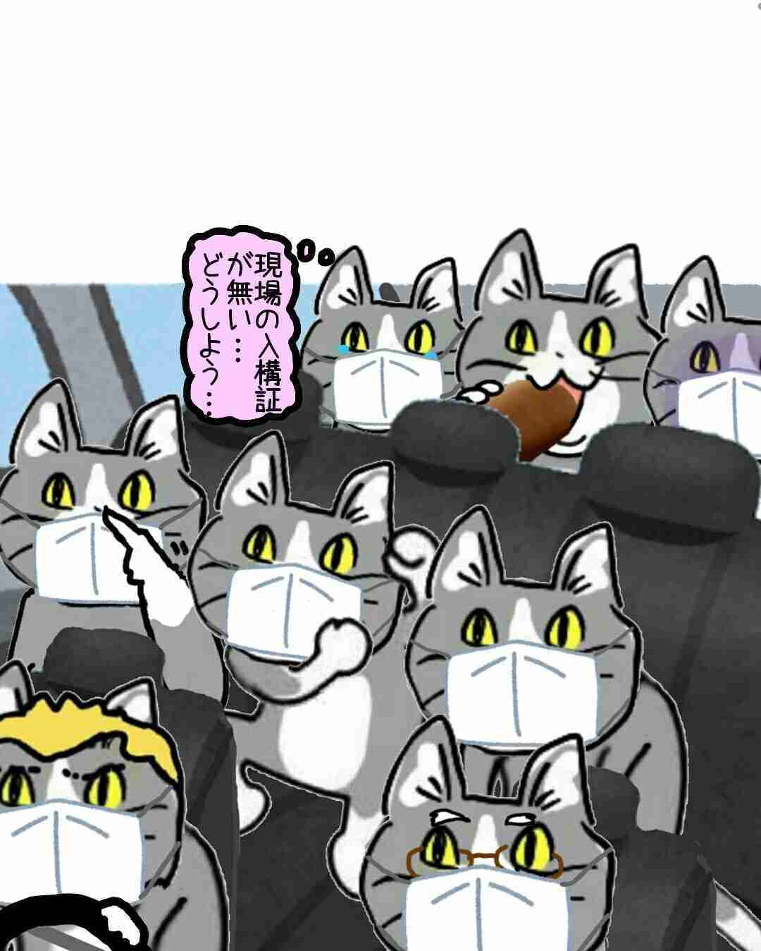 夏だから皆で現場猫を愛でたい！