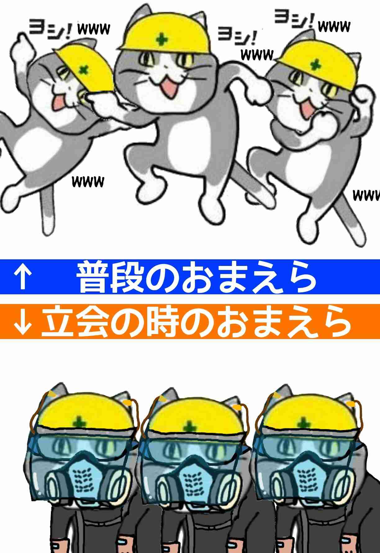 夏だから皆で現場猫を愛でたい！