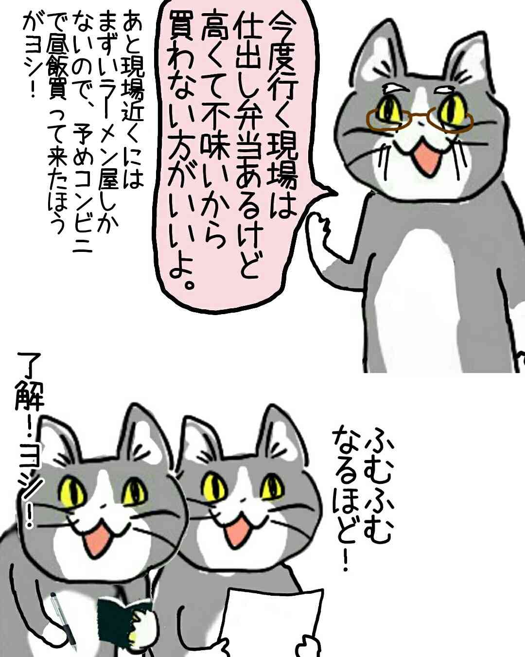 夏だから皆で現場猫を愛でたい！