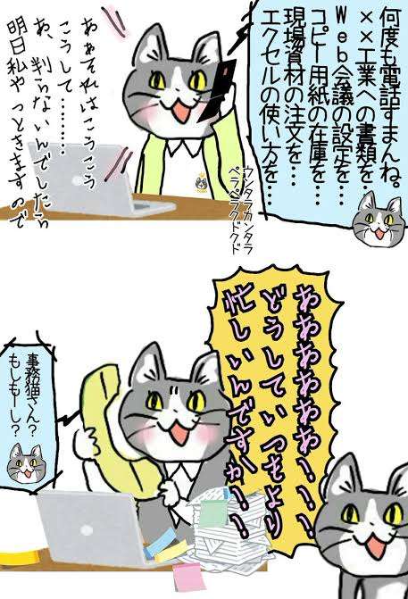 夏だから皆で現場猫を愛でたい！