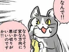 夏だから皆で現場猫を愛でたい！