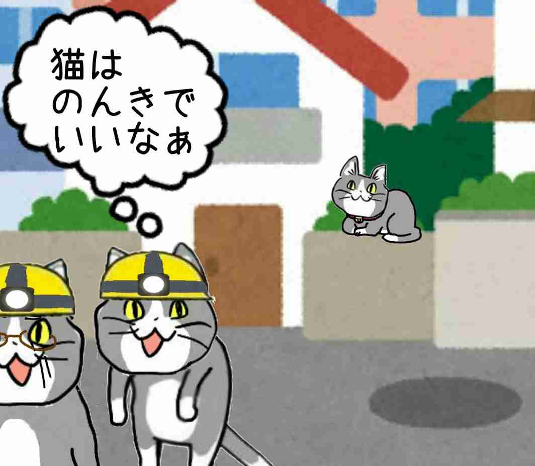 夏だから皆で現場猫を愛でたい！