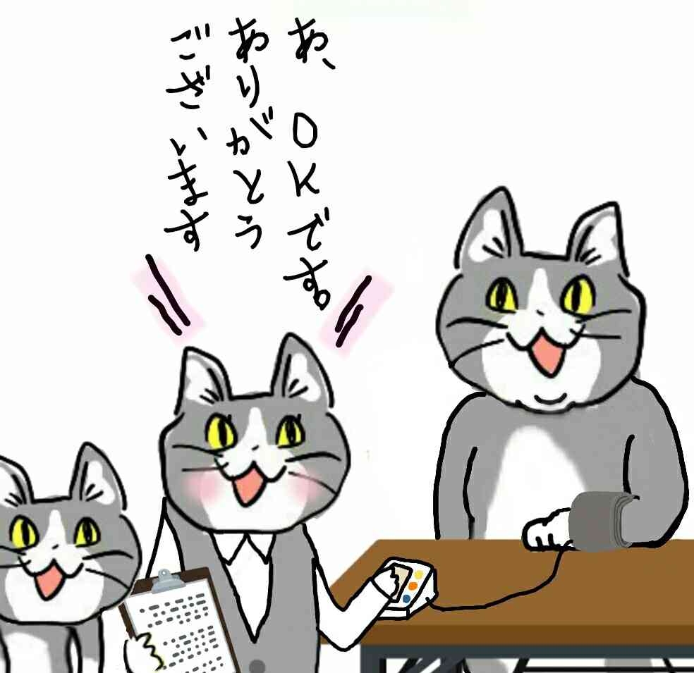 夏だから皆で現場猫を愛でたい！
